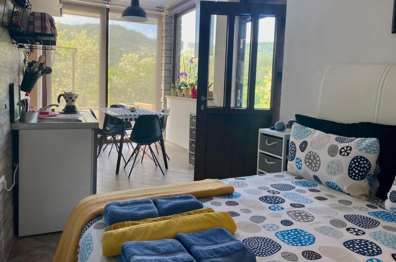 Apartman Verona Buzet Zewnętrze zdjęcie