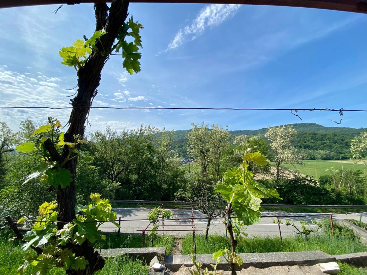 Apartman Verona Buzet Zewnętrze zdjęcie