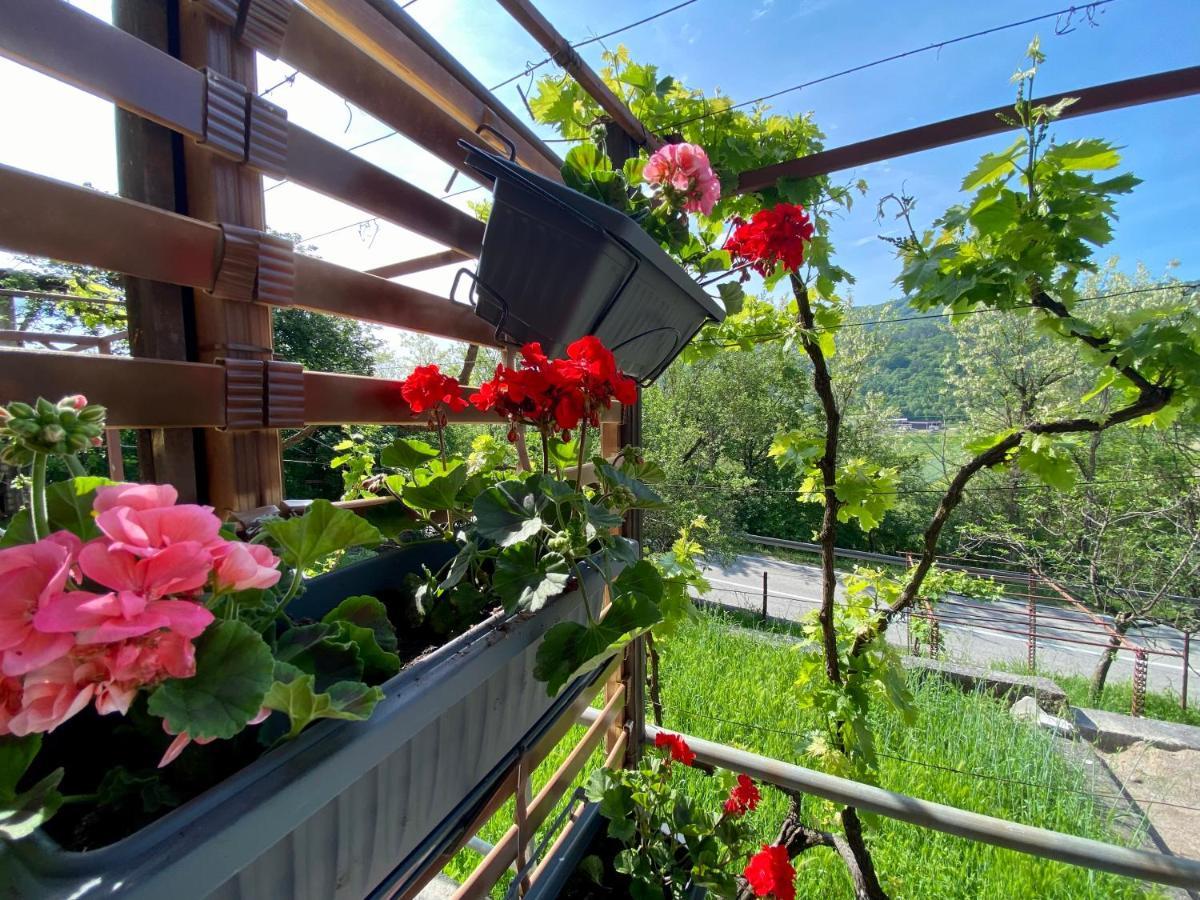 Apartman Verona Buzet Zewnętrze zdjęcie